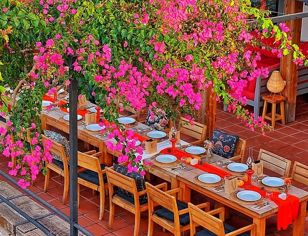 Ece Hotel Sovalye Island Fethiye 4*,  Turkey